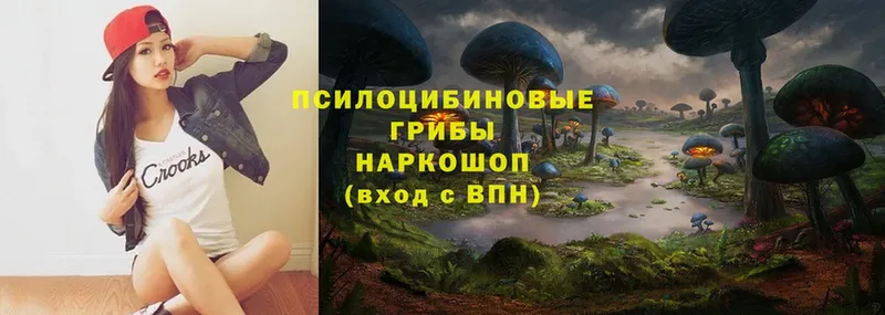 Галлюциногенные грибы Psilocybe  Сатка 